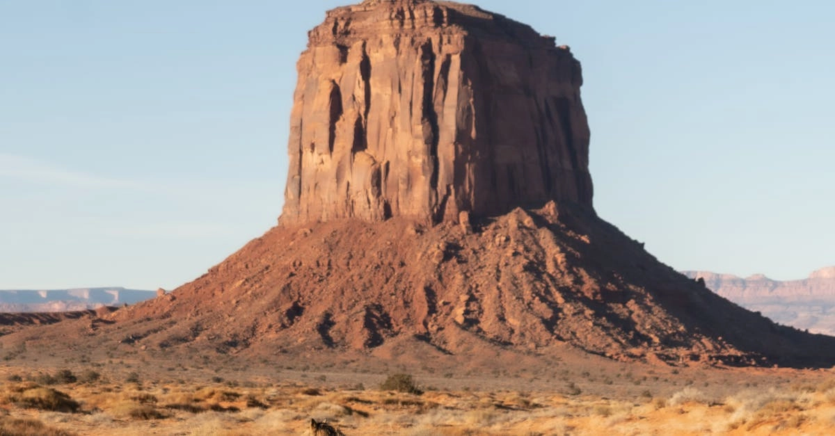 Золотые принципы лидерства Дикого Запада в современной карьере